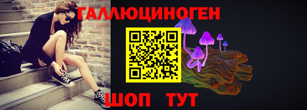 Псилоцибиновые грибы Psilocybine cubensis  Вход с VPN  Строитель 